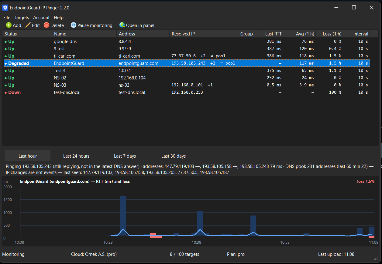 The IP Pinger main window: target list and the latency graph of the selected target